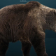 Image for article titled A brief history of bears fighting lions